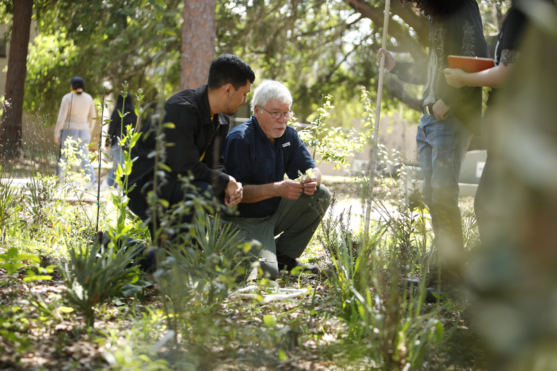 A male student and male faculty observing a plant. 